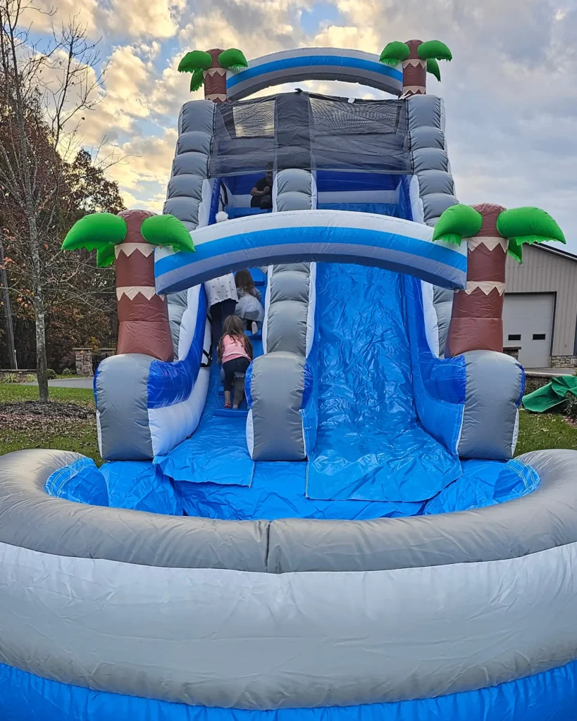 large-palms-inflatable-slide