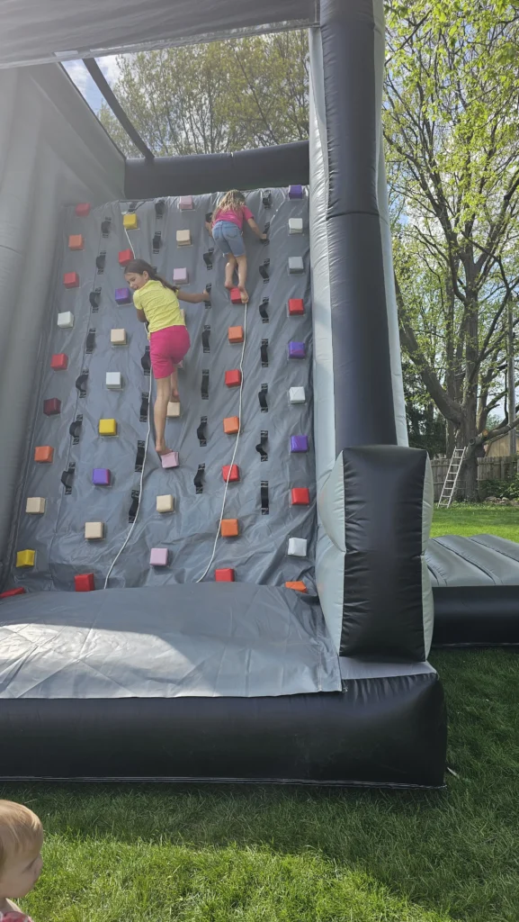 Rock-wall-slide-inflatable-1